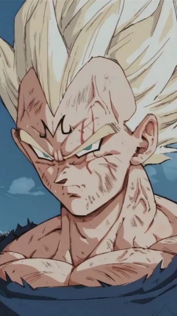 Battle Worn Vegeta Portrait Wallpaper