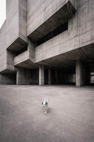 Dalmatian Small Figure Beneath Massive Concrete Architecture Wallpaper