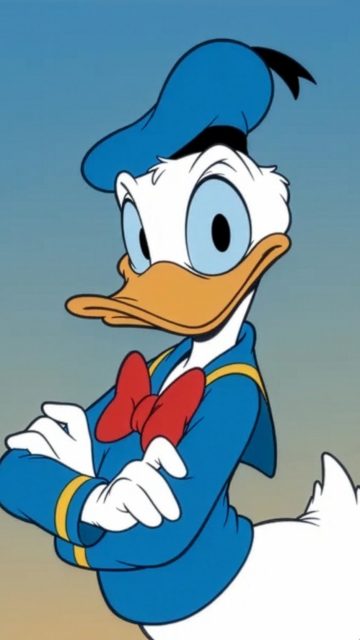 Donald Duck Clean Portrait Illustration Wallpaper