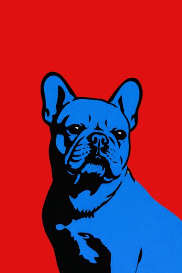 French Bulldog Pop Art Bold Red Blue Portrait Wallpaper