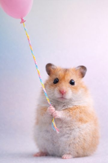 Hamster Holding Balloon Pastel Minimal Scene