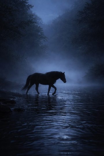Horse Walking Through a Foggy River at Night Wallpaper