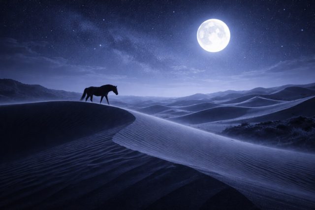 Horse Crossing Moonlit Desert Dunes Wallpaper