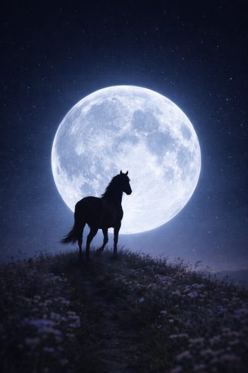 Horse Silhouette on a Hill Beneath a Full Moon Wallpaper