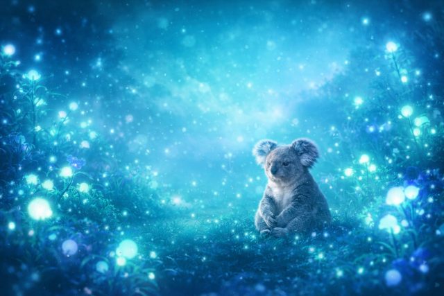Koala in Mystic Glowing Field Wide Scene Wallpaper