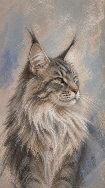 Maine Coon Cat Pastel Chalk Soft Illustration Wallpaper