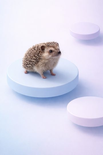 Minimal Hedgehog on Floating Platform Pastel Wallpaper
