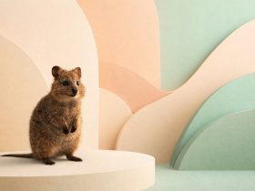 quokka standing on a platform surrounded by soft geometric arches in pastel colors with smooth lighting