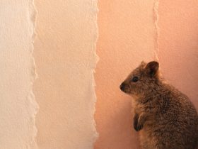 quokka beside layered torn paper textures in soft pastel tones with artistic minimal composition