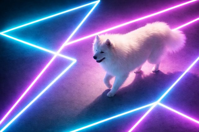 Samoyed Walking Through Neon Geometric Lines Wallpaper