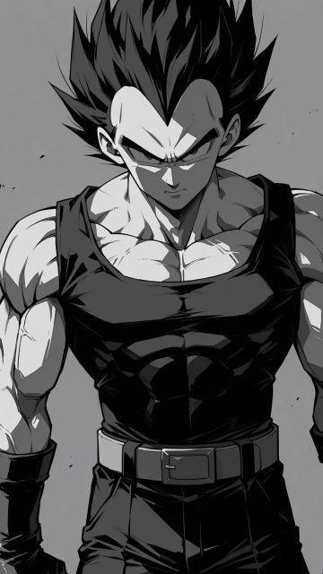 Monochrome Vegeta Shadow Warrior Wallpaper
